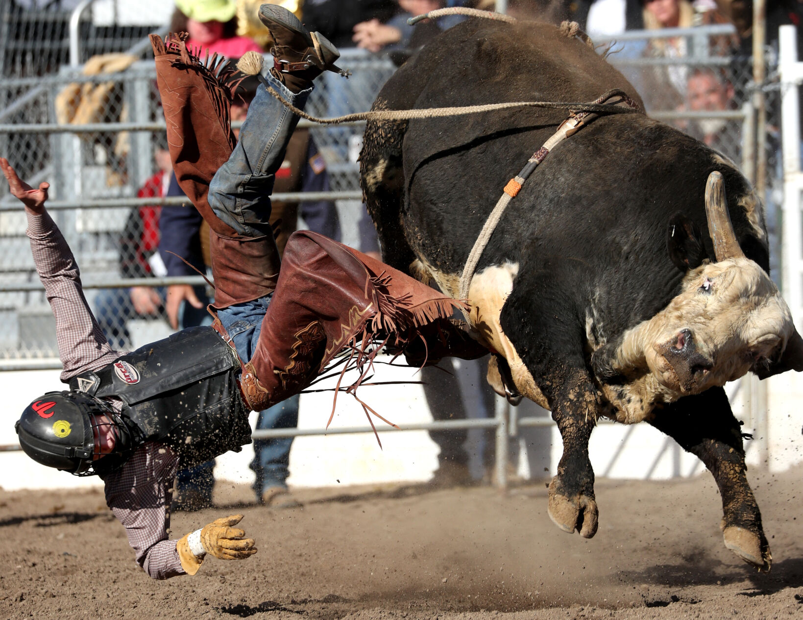 Tucson Rodeo